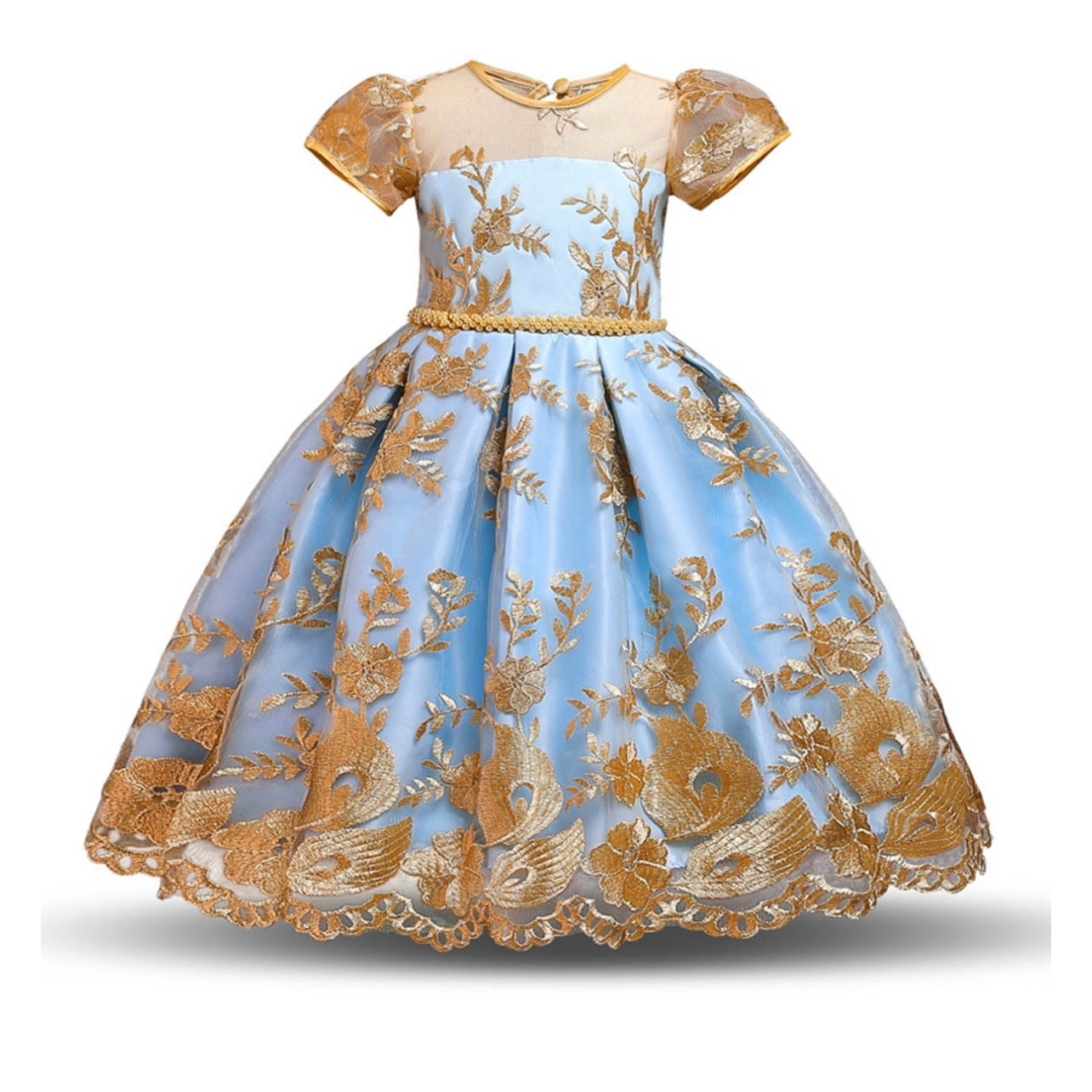 Princess Inspired Ball Gowns for Toddler and Youth | Elegant Girls Dresses