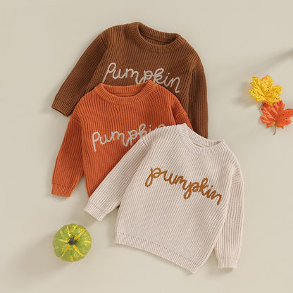 Festive Pumpkin Embroidered Autumn Sweaters | Long Sleeve Crewneck Pullover