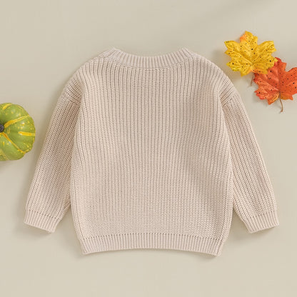 Festive Pumpkin Embroidered Autumn Sweaters | Long Sleeve Crewneck Pullover