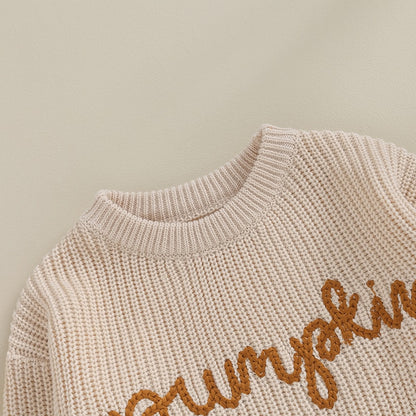 Festive Pumpkin Embroidered Autumn Sweaters | Long Sleeve Crewneck Pullover