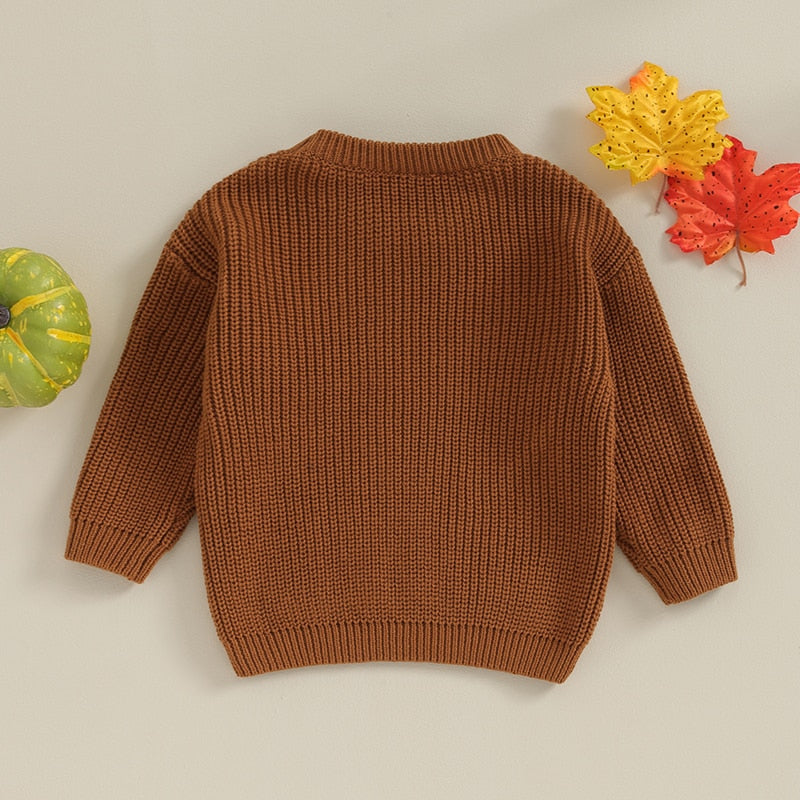 Festive Pumpkin Embroidered Autumn Sweaters | Long Sleeve Crewneck Pullover