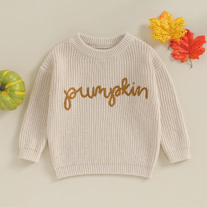 Festive Pumpkin Embroidered Autumn Sweaters | Long Sleeve Crewneck Pullover