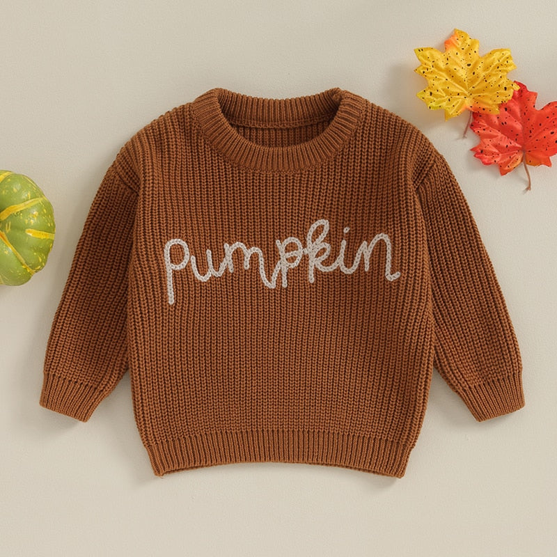 Festive Pumpkin Embroidered Autumn Sweaters | Long Sleeve Crewneck Pullover