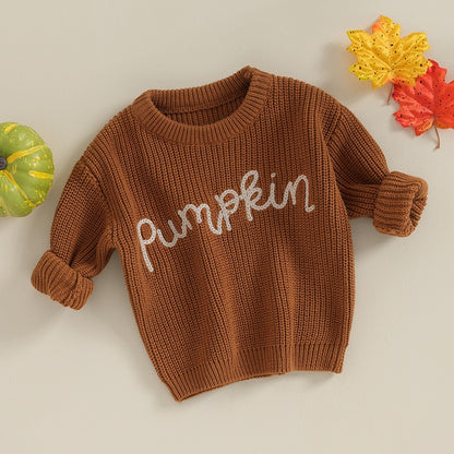 Festive Pumpkin Embroidered Autumn Sweaters | Long Sleeve Crewneck Pullover